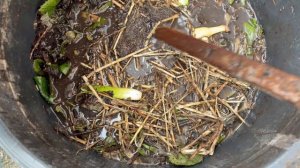 Открываю сезон барматухи.