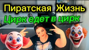 Пиратская Жизнь))) Куча вывезла своего Сыночку-Корзиночку в Люди))) Луковая тушёнка со вкусом мяса))