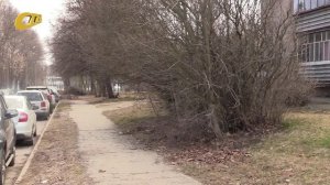 ЖЕЛЕЗНОГОРЦЫ ПОЖАЛОВАЛИСЬ НА НЕУБРАННЫЙ ВСЛЕДСТВИЕ РАЗРОСШИХСЯ ПРИЛЕГАЮЩИХ НАСАЖДЕНИЙ ТРОТУАР