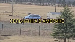 Сельчанка в Амнрике / ШОПИНГ ПЕРЕД ПРАЗДНИКОМ ПОКУПКИ НА ДЕНЬ РОЖДЕНИЯ