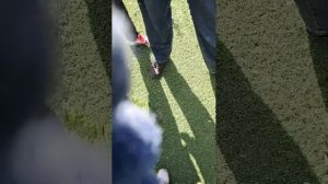 паненка 1-бутса