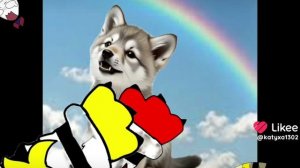 мухехехе 😈НАДЕЮСЬ У ЭНТЕРА БЫЛА МЯГКАЯ ПОСАДКА...