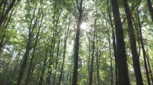 Даты богатства в апреле. Покупаем лотерейный билет.