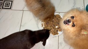 Сегодня малыши прям очень сильно выпендриваются.