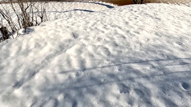 Весеннее пробуждение