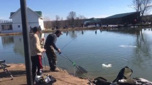 поимка форели на фидер