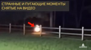 Самые жуткие видео в интернете прямо сейчас