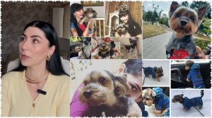 Разговор по душам🫶🏻Печальные новости об Оскарюше😢Заболела😕Покупки и события за неделю