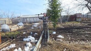 Разминка на даче