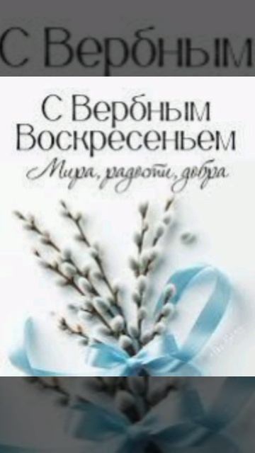 всех с вербным воскрисением