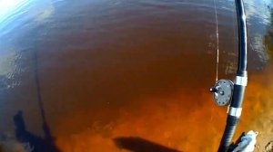 Рыбалка на реке, рыбалка на поплавок, рыбалка на удочку,ловля рыбы перед ураганом