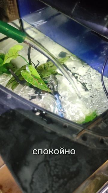 Насос погружной для подмены воды