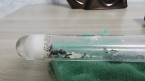 Жизнь муравьёв. 4 серия.