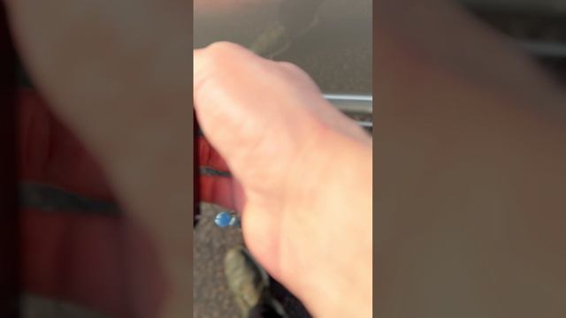 Обзор Toyota Corolla 2005