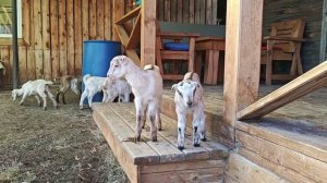 Красивый весенний закат