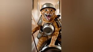 КАК КОТИК ПРОВЕЛ ВЫХОДНЫЕ