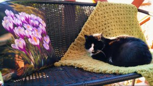 Жизнь, которая лечит душу 🌿 моя весна в деревне