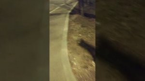 Мы идём гулять с собакой! | 4-апр-2026 2