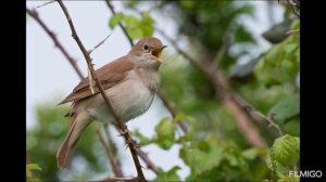 Услышь меня