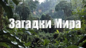 Артефакт, который ломает историю навигации