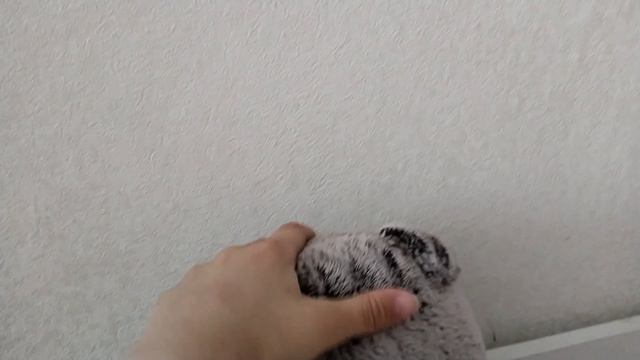 смотрим всех и играем