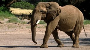 "Соседний вагон загорелся": пассажиры сошедшего поезда рассказали об аварии