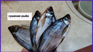 Сушеная рыба. Как сушить рыбу