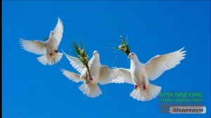 4 АПРЕЛЯ.СВЯЩЕННАЯ СУББОТА.ДЕНЬ ВОСКРЕШЕНИЯ ЛАЗАРЯ.