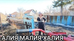 Мансур Сакпанов- РАБОТА НЕ ВОЛК - КАКИЕ ПЛАНЫ НА СЕГОДНЯ 🤔 ЧТО ХОЧЕТ АЛИЯ МАЛИЯ
