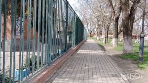 03.04.26г. - чудный день+17☔☀️ Люблю апрель. Листочки ,цветочки☘️🥀🪻 Вкусный ужин...