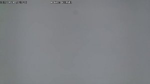 LIVE: channel43489494