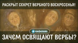 Раскрыт секрет вербного воскресенья: зачем освящают вербы?