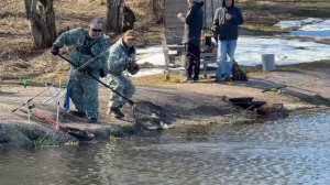 Поимки на водоеме 04.04.2026. Запуск 216кг