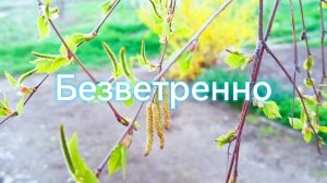 Пасмурный вечер после дождя! Тихие звуки природы!