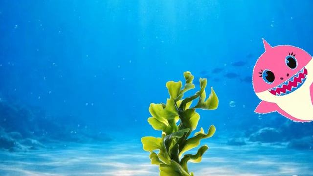 Акуленок ку ку