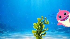 Акуленок ку ку