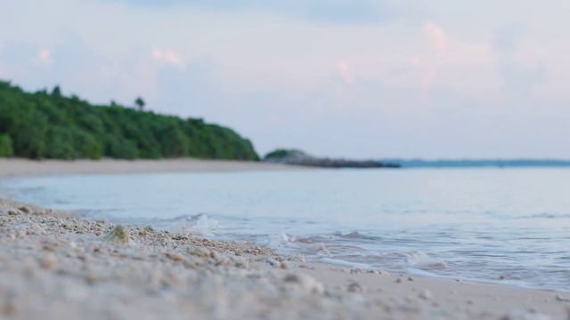 Нежный шум моря звуки волн для сна и релакса  Звуки природы