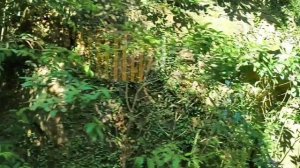 Дорога к храму Вьетнам 04.04.26.