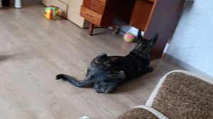 Игра в боулинг 🎳