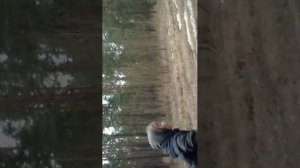 первомайка