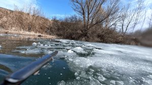 По кромке льда