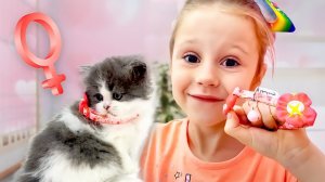 Лайк Настя Папа и друзья Сборник лучших видео для детей