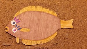 "Камбала". Первый мультфильм из цикла "Обитатели Приморского океанариума"