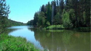 Разведка самородного Золота в ручье! Ну и Рыбалка!