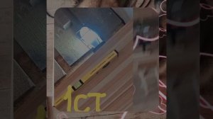 1000055041.mp4 (Собака наблюдает за устройством лестницы на 2-ой этаж в доме А-фрейм)