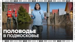 Спасатели организовали лодочные переправы в Подмосковье - Москва 24