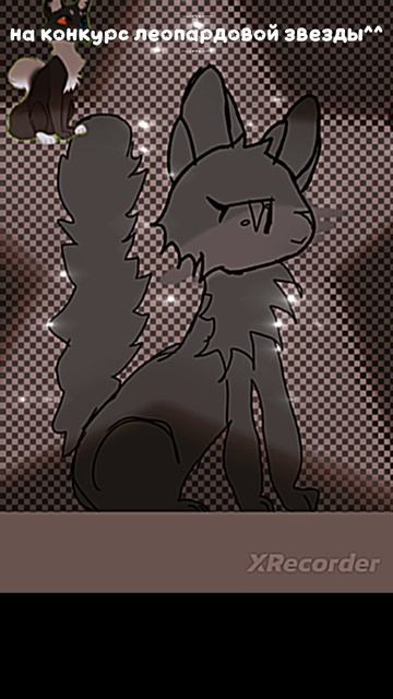 на конкурс Леопардовой Звезды