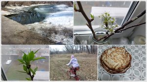 Пропал голос. Жарю блины к чаю. У меня новый вид транспорта