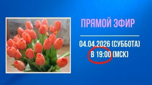 Анонс эфира 04.04.2026