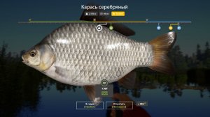 Прокачиваем навык в игре РР4